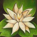 lotus : du plus grossier vers le subtil, des racines dans les profondeurs vers l`aboutissement de la fleur, lotus à 1000 pétales...